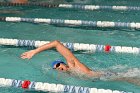 Swimming vs Babson  Wheaton College Swimming vs Babson College. - Photo By: KEITH NORDSTROM : Wheaton, Swimming, Babson